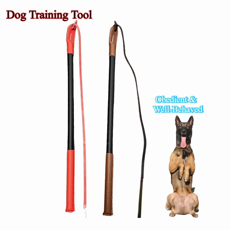 Leatherwork Training - Lederen Crack Whip - Hondentrainingshulpmiddel Hondentraining