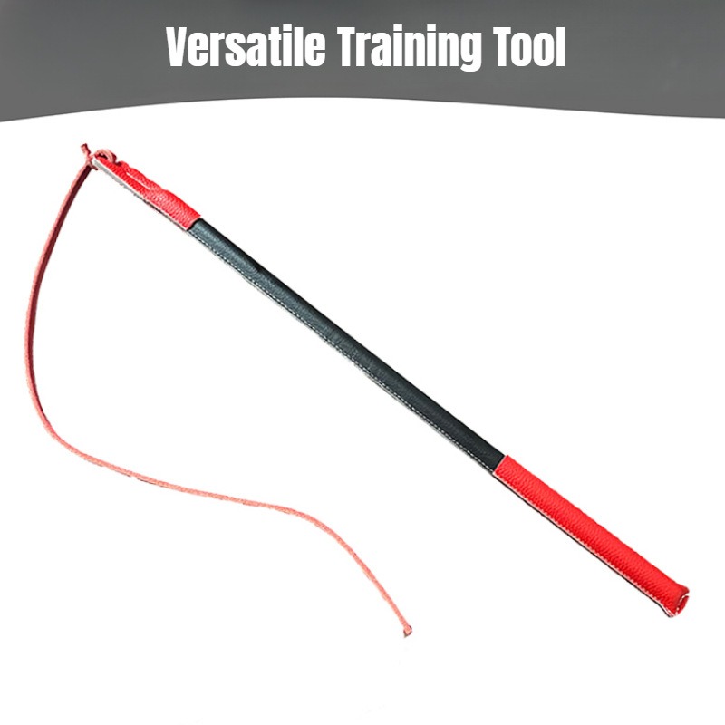 Lederen Crack Whip - Hondentra - Leatherwork Training recensie en prijs