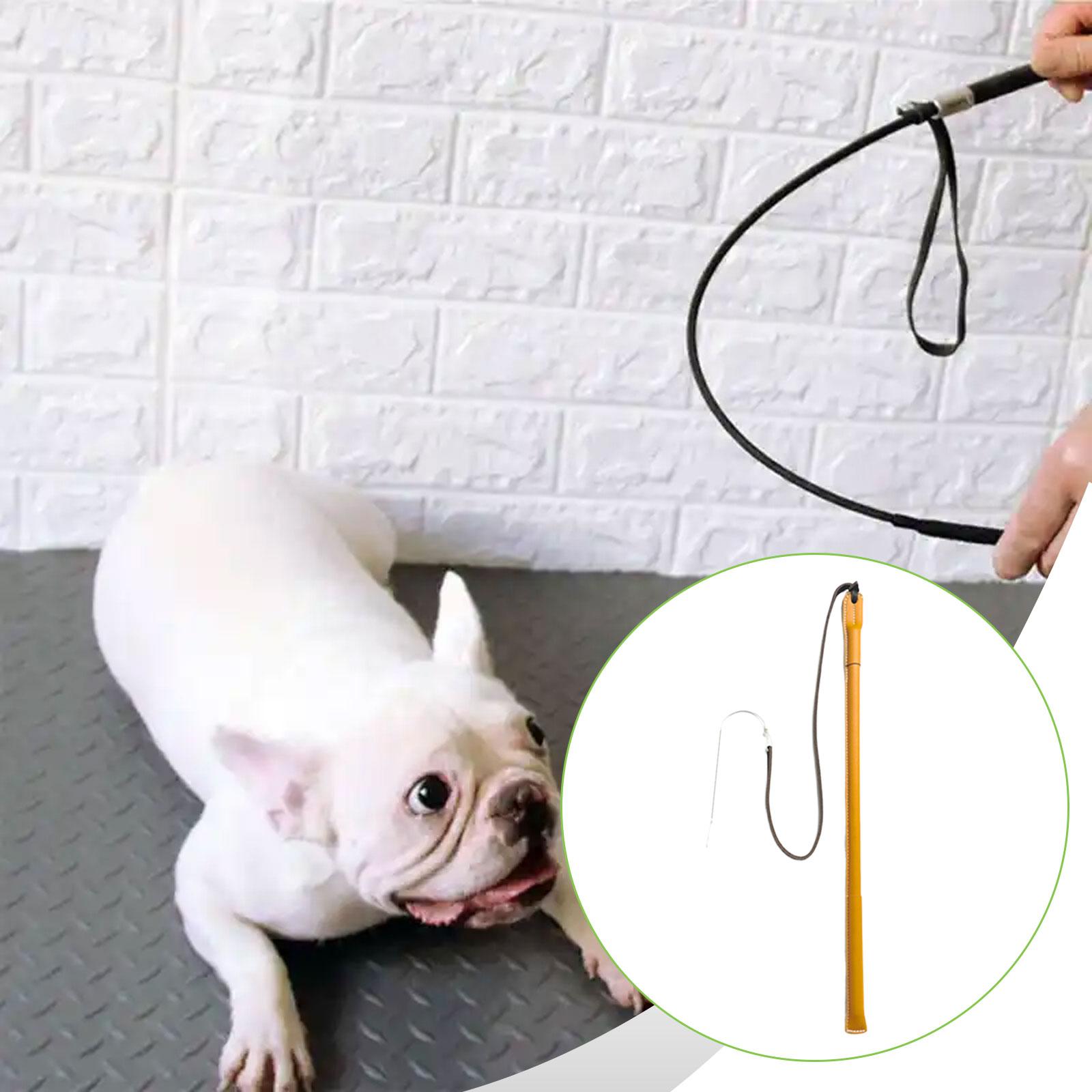Slijtvaste PU-lederen honden t - Leatherwork Training recensie en prijs